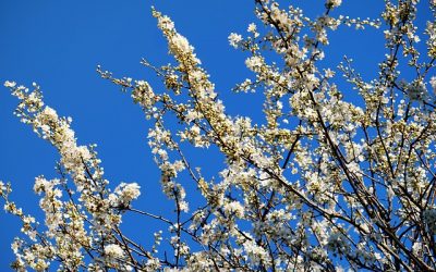 Predicción meteorológica para semana santa 2018